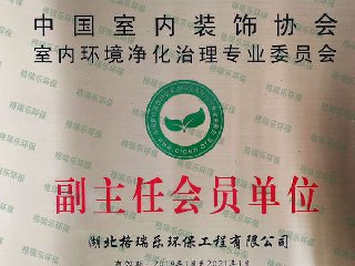 盈彩(中国)股份有限公司-官网副主任会员单位