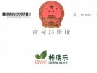 盈彩(中国)股份有限公司-官网盈彩(中国)股份有限公司-官网logo商标